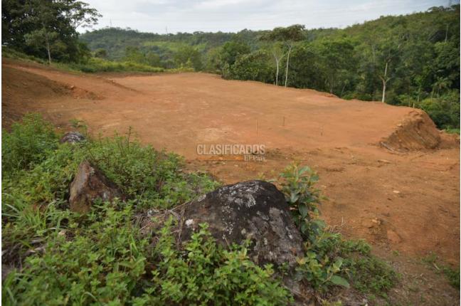 Lotes, Venta, Pance - $890.000.000