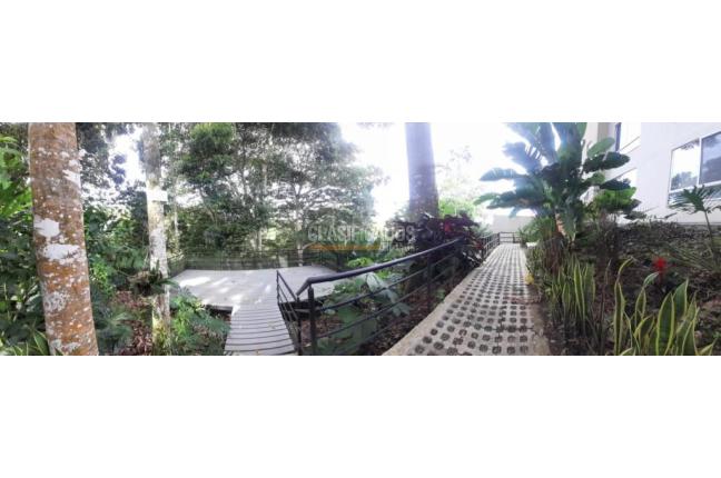 Apartamentos, Alquiler, Pereira - $2.000.000