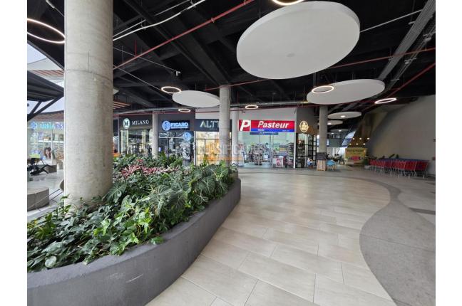 Locales y Bodegas, Venta, Pereira - $200.000.000