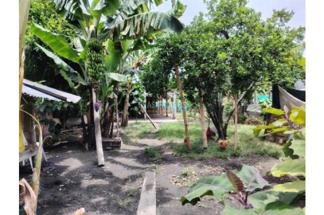 Fincas y Casas Campestres, Venta, Palmira - $420.000.000