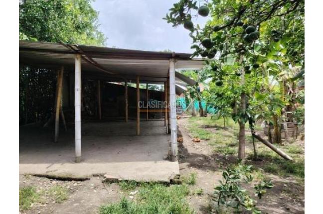 Fincas y Casas Campestres, Venta, Palmira - $420.000.000