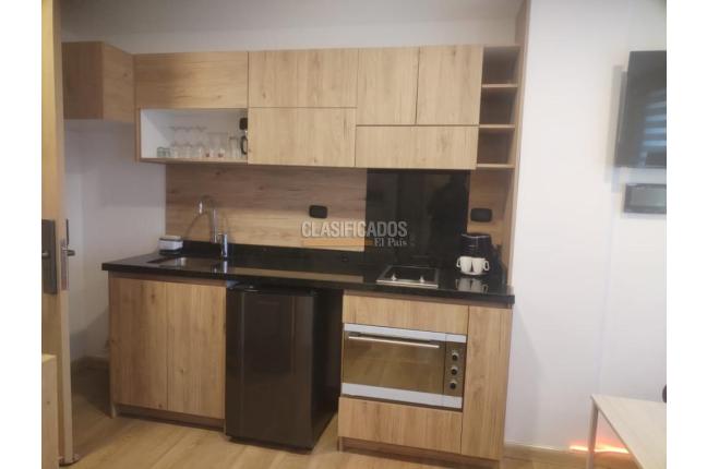 Apartaestudios, Alquiler, Bogotá - $2.100.000