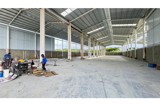 Locales y Bodegas, Alquiler en Palmira