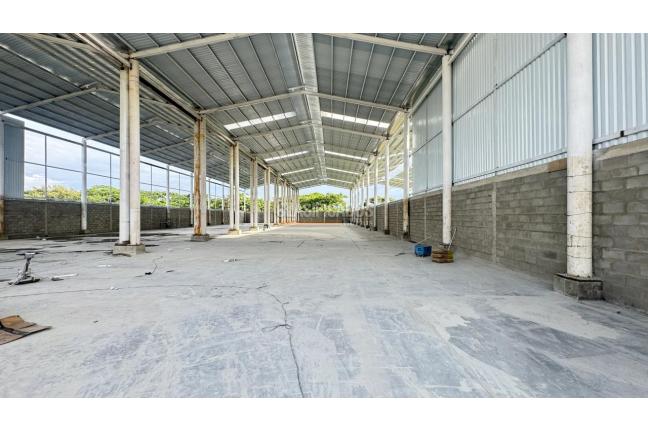 Locales y Bodegas, Alquiler en Palmira