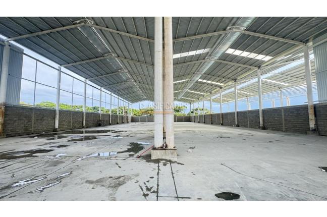 Locales y Bodegas, Alquiler en Palmira