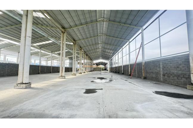 Locales y Bodegas, Alquiler, Palmira - $30.600.000