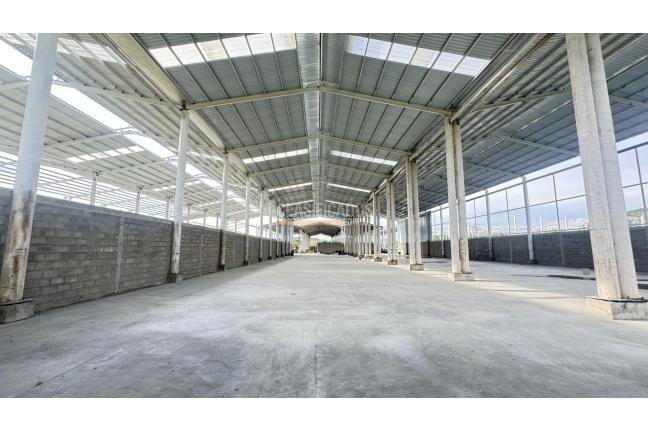 Locales y Bodegas, Alquiler, Palmira - $30.600.000