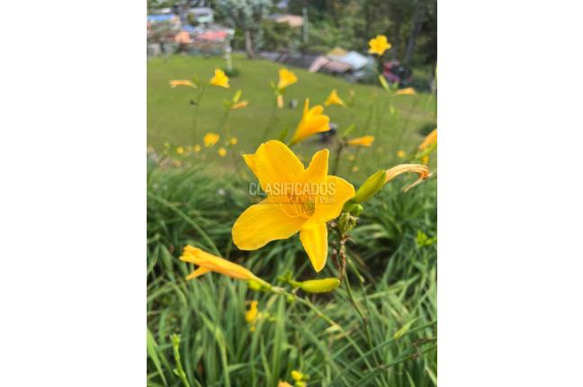 Casas, Venta, Yumbo - $1.300.000.000