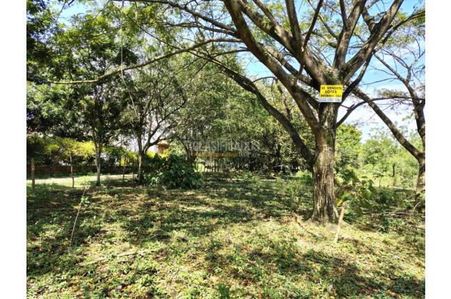 Lotes, Venta en Pance