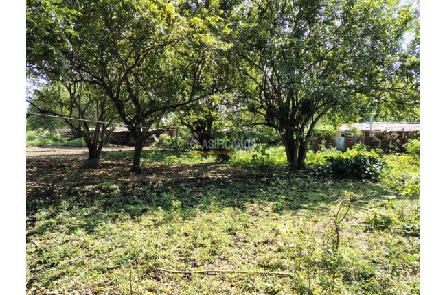 Lotes, Venta, Pance - $3.500.000.000