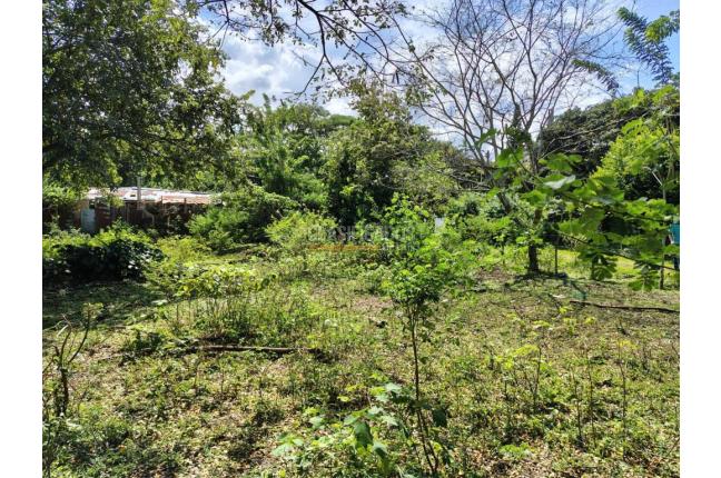 Lotes, Venta, Pance - $3.500.000.000