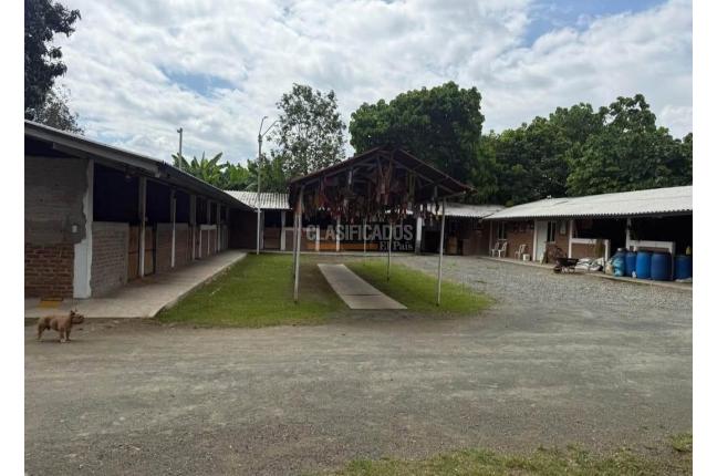 Fincas y Casas Campestres, Venta, Palmira - $2.700.000.000