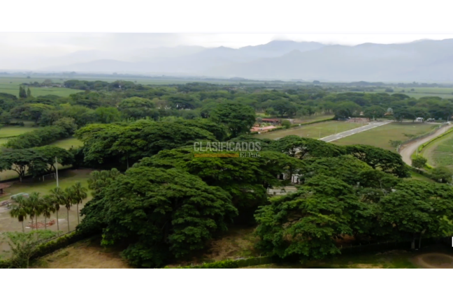 Lotes, Venta en Palmira