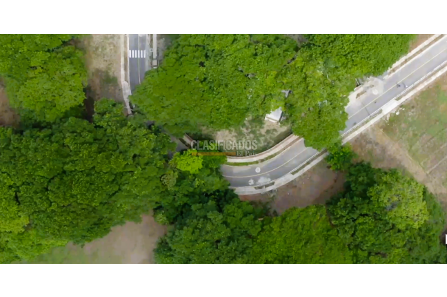 Lotes, Venta en Palmira