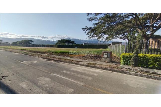 Lotes, Venta, Palmira - $360.000.000