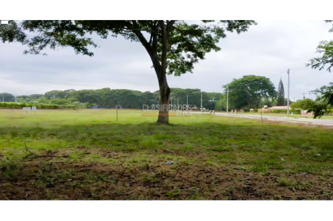 Lotes, Venta, Palmira - $360.000.000