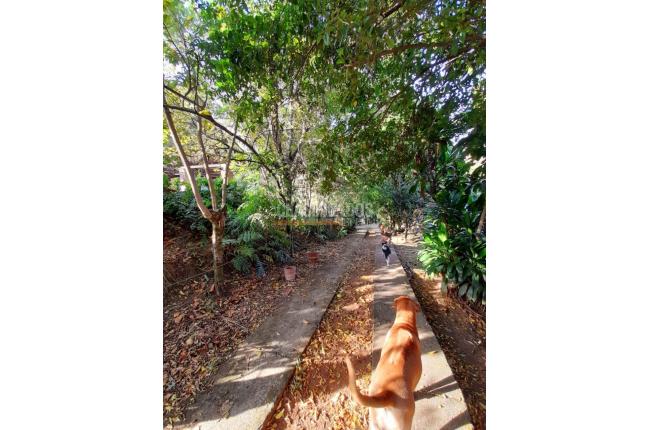 Casas, Venta, La Buitrera - $900.000.000