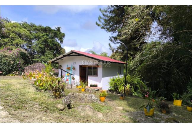 Fincas y Casas Campestres, Alquiler en Dagua