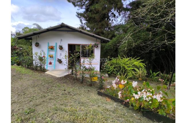 Fincas y Casas Campestres, Alquiler en Dagua