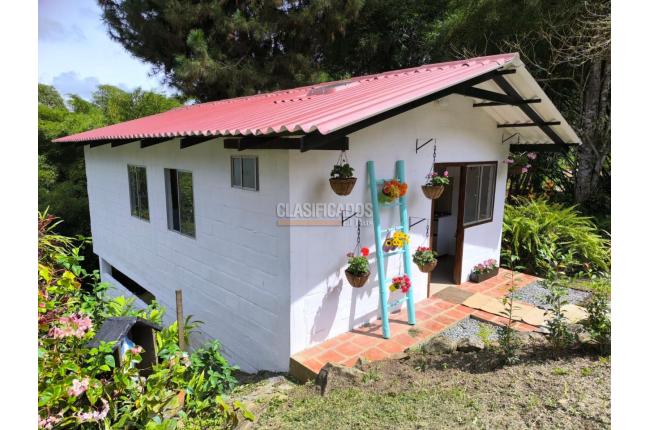Fincas y Casas Campestres, Alquiler en Dagua