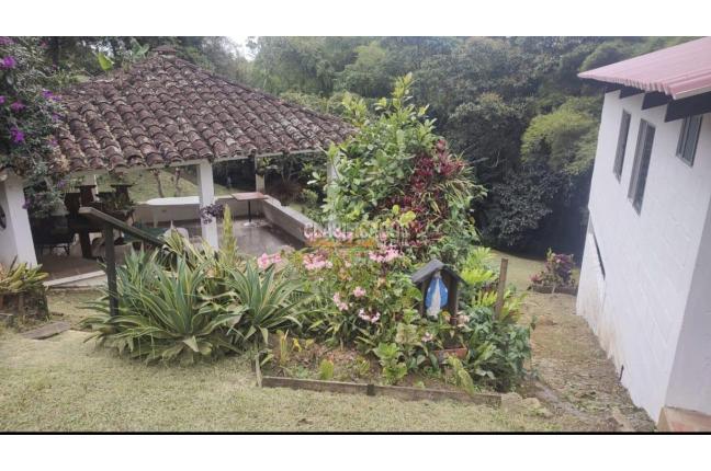 Fincas y Casas Campestres, Alquiler, Dagua - $1.200.000