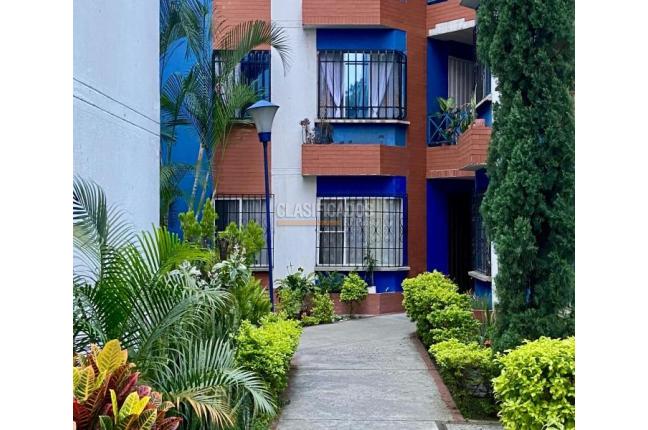 Apartamentos, Alquiler en Álamos