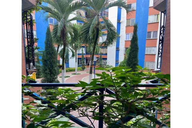 Apartamentos, Alquiler en Álamos