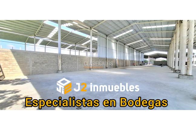 Locales y Bodegas, Alquiler, Palmira - $36.000.000
