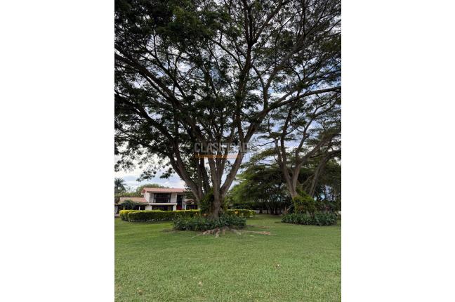 Fincas y Casas Campestres, Venta, Palmira - $2.850.000.000