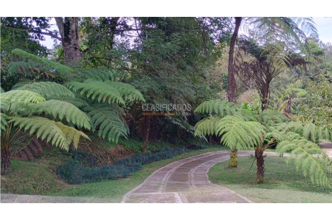 Fincas y Casas Campestres, Venta, La Elvira - $750.000.000