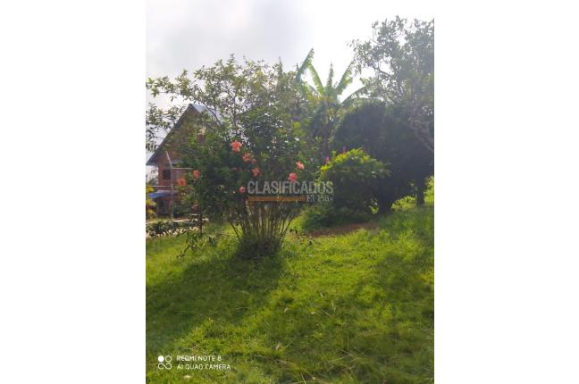 Fincas y Casas Campestres, Venta en La Elvira