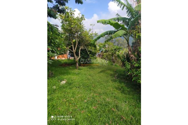 Fincas y Casas Campestres, Venta, La Elvira - $250.000.000