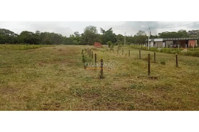 Lotes, Venta, Palmira - $1.000.000.000