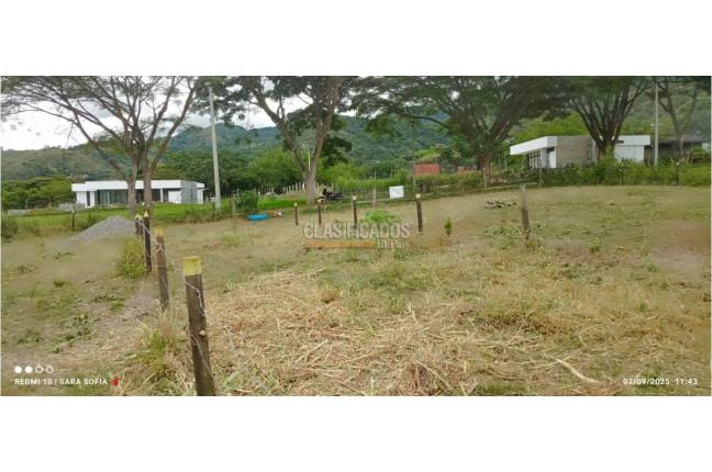 Lotes, Venta, Palmira - $1.000.000.000