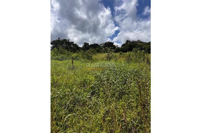 Lotes, Venta, Dagua - $180.000.000