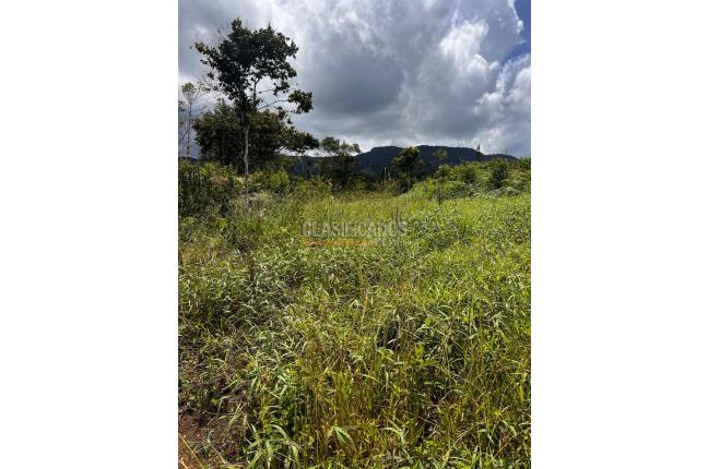 Lotes, Venta, Dagua - $180.000.000