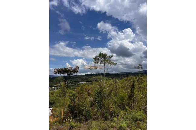 Lotes, Venta, Dagua - $180.000.000