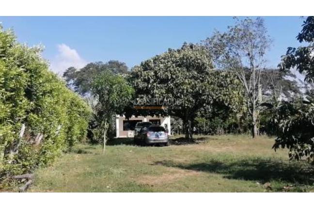 Fincas y Casas Campestres, Venta, Palmira - $560.000.000