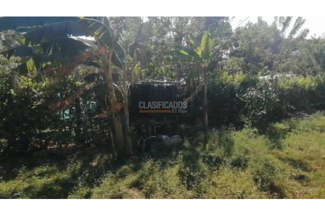 Fincas y Casas Campestres, Venta, Palmira - $560.000.000