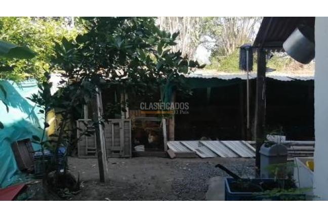 Fincas y Casas Campestres, Venta, Palmira - $560.000.000