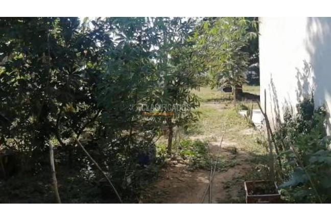 Fincas y Casas Campestres, Venta, Palmira - $560.000.000