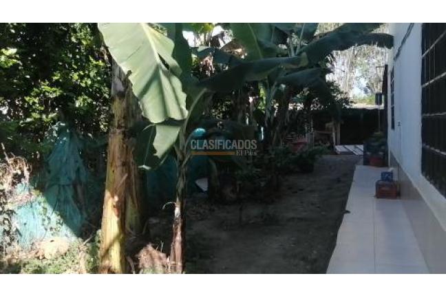 Fincas y Casas Campestres, Venta, Palmira - $560.000.000