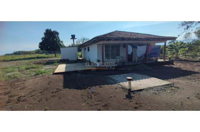 Lotes, Venta en Jamundí