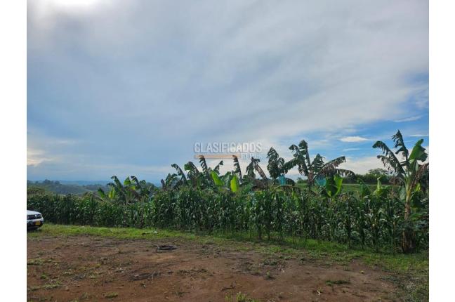 Lotes, Venta en Pereira