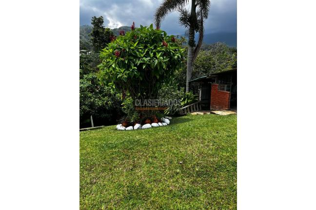 Lotes, Venta, La Reforma - $180.000.000