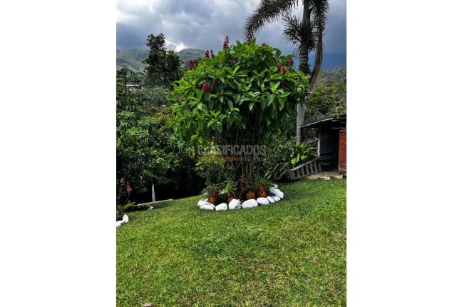 Lotes, Venta, La Reforma - $180.000.000