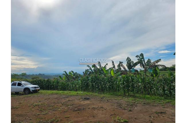 Lotes, Venta, Pereira - $225.000.000