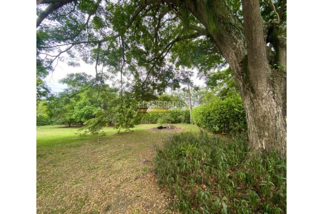 Lotes, Venta, Palmira - $270.000.000