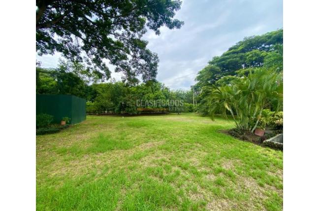 Lotes, Venta, Palmira - $270.000.000