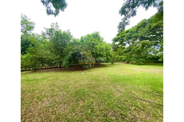 Lotes, Venta, Palmira - $270.000.000